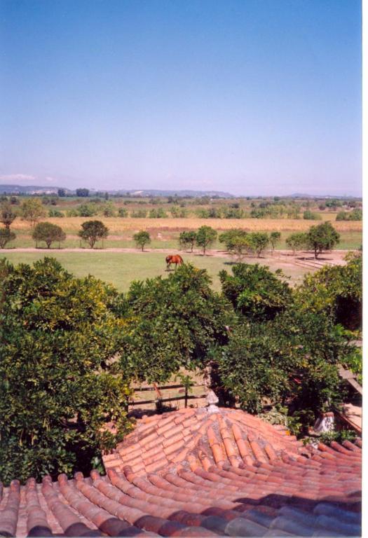 阿尔梅林 Quinta Do Casalinho旅馆 客房 照片
