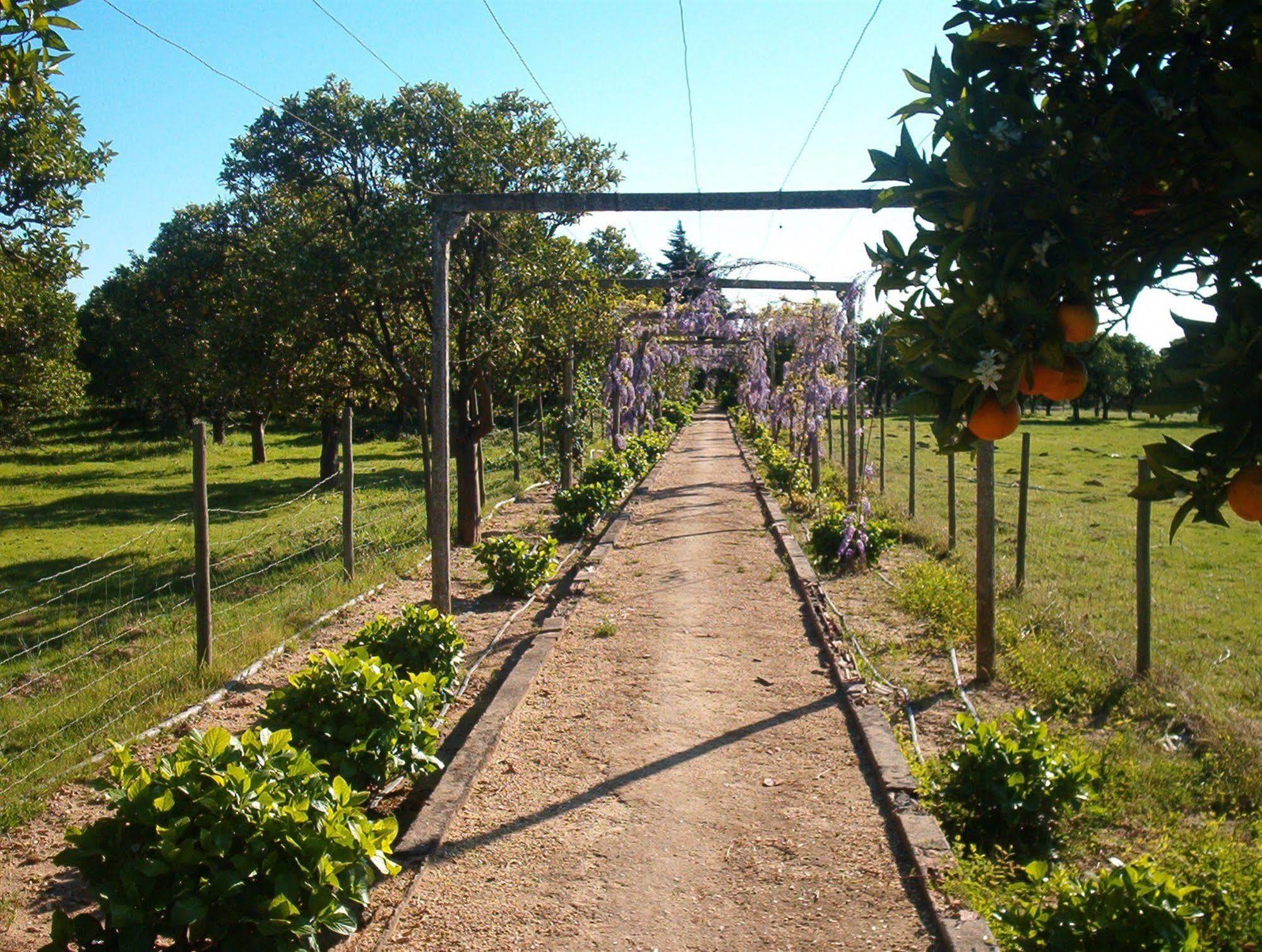 阿尔梅林 Quinta Do Casalinho旅馆 外观 照片